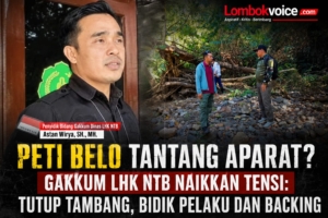 Tim Gakkum LHK NTB Turun Pulbaket, PETI Belo Kembali Menggeliat: Pelaku dan Backing Mulai Dibidik