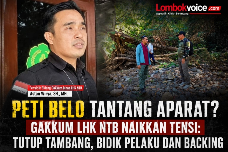 Tim Gakkum LHK NTB Turun Pulbaket, PETI Belo Kembali Menggeliat: Pelaku dan Backing Mulai Dibidik